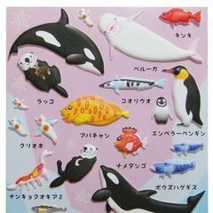 海の生き物 シール 水族館グッズ ザ・アクセス ぷくぷくシール 冷たい海編の画像
