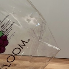 🍇フルーツオブザルーム🍎　ビニールバッグ　プールバッグの画像