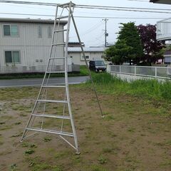 値下げしました！三脚脚立お売りします（中古です）