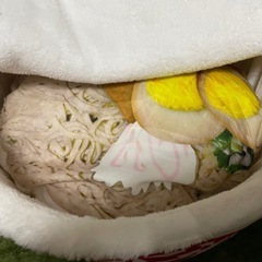 どん兵衛　猫用ベッド　おもしろグッズの画像