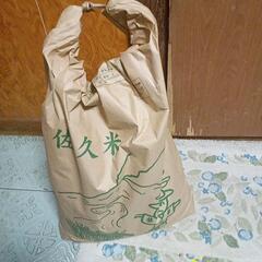 取引中　　コシヒカリ　新米10キロ精米済み