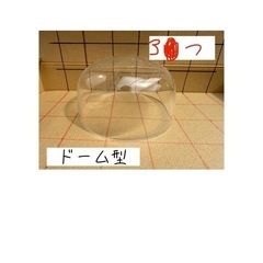 ガラスドーム
