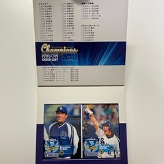 2004年 セ・リーグ優勝記念カード 中日ドラゴンズ　チームセット　シリアル№付の画像