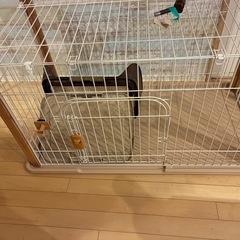 犬用ゲージ、給水器、トイレトレー一式の画像