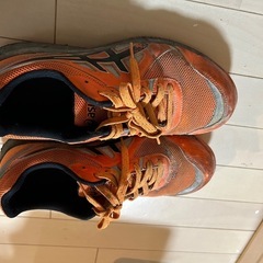安全靴asicsの画像