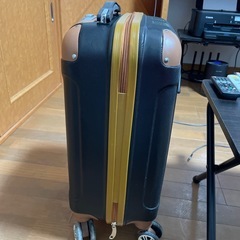 機内持ち込み可能スーツケースの画像