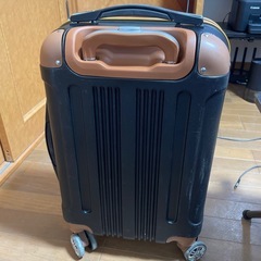 機内持ち込み可能スーツケースの画像