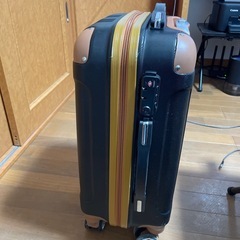 機内持ち込み可能スーツケースの画像