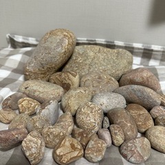姫川薬石 大・中・小サイズセット販売 糸魚川採取 約6.4kg ...