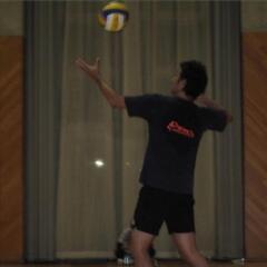 D-PROバレー部 メンバー大募集！