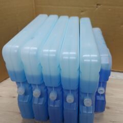 5点セット（ばら売り不可）　保冷剤　継続タイプ　750g　1000gの画像