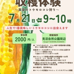 収穫体験