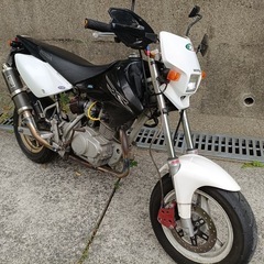 xr100  自賠責アリ