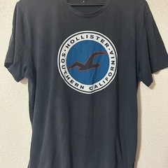 【ホリスター】メンズTシャツ