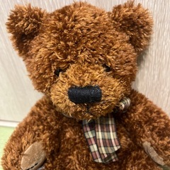 ラスベリーデズモンドテディベアのぬいぐるみの画像