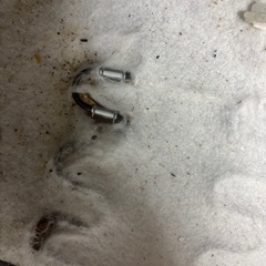 3人掛けソファ(オッドマン付き)の画像