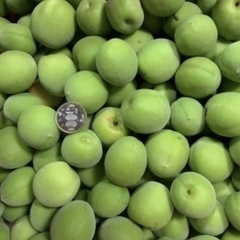 朝採れ　南高梅　青梅　1kg