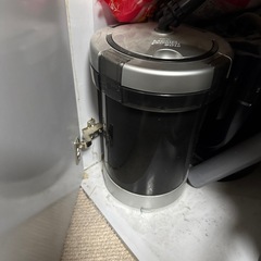 アルビノシルバーアロワナの画像