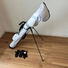 レディース　ゴルフクラブセット　入門　練習