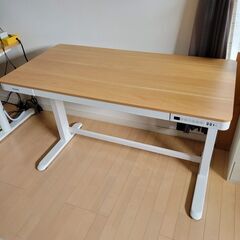 電動昇降スタンディングデスク【FlexiSpot EW8M】