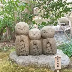 平日のんびり歩きませんか