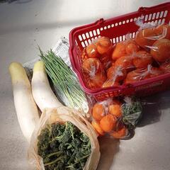 無農薬野菜＆果物の画像