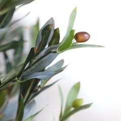 フェイクグリーン 大型 超リアル H150cm オリーブ の画像