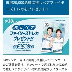 日にちが近い為、お値下げ中！！　ファイターズチケット　エスコン　5月30日　日ハム　ファイターズ　野球チケットの画像