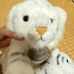 白虎家族3匹の画像