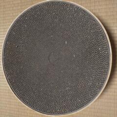 猫壱　バリバリボウル　の画像