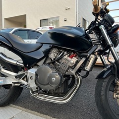 HONDA hornet250の画像