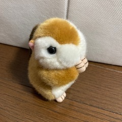 リス　ぬいぐるみの画像