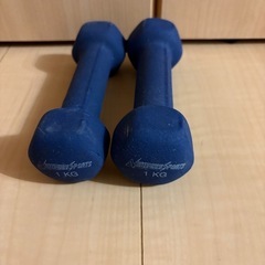 【無料、お譲りします】1kgダンベル×2個