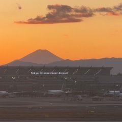 人見知りによる人見知りの為の人見知りの会