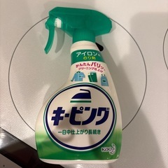アイロン用のり剤