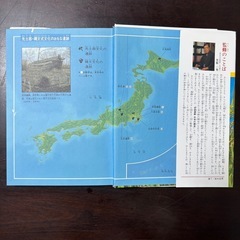 日本の歴史 1の画像