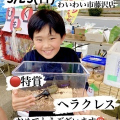🌈昆虫くじ🐟メダカすくいイベント☘️いこいキッチン感謝御礼✨5/...
