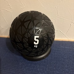 お話中5kg ボール