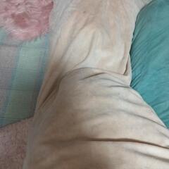 抱き枕2つシミ汚れあり、中の綿潰れございますの画像
