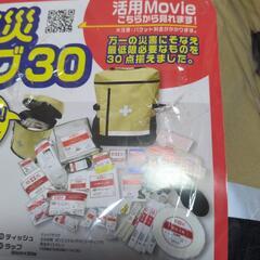 山善　防災バッグ３０の画像