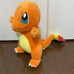 ヒトカゲの画像