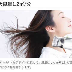 *送料無料★ ドライヤー 軽量 強力 速乾 コイズミ マイナスイオン 1年保証の画像