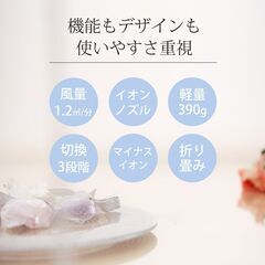 *送料無料★ ドライヤー 軽量 強力 速乾 コイズミ マイナスイオン 1年保証の画像