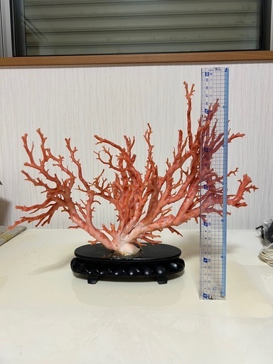 超貴重　ピンク珊瑚　置物　コーラル　珊瑚