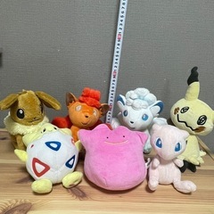 7個セット　ポケモン　ぬいぐるみの画像