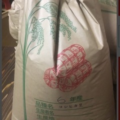 栃木コシヒカリ玄米10k
