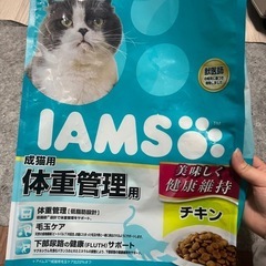 猫の餌（キャットフード）
