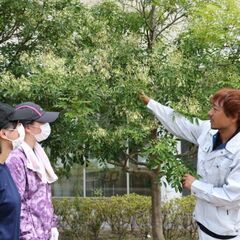 「街をみどりで彩る」造園施工管理スタッフ募集！／民間企業や公共施設などの造園に関われる！／未経験でもOK！／各種手当が充実！＿株式会社豊橋園芸ガーデン＿0の画像