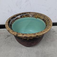 金魚･睡蓮鉢