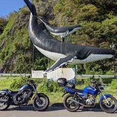 ツーリング仲間募集です！〜バイク好きな人と繋がりたい